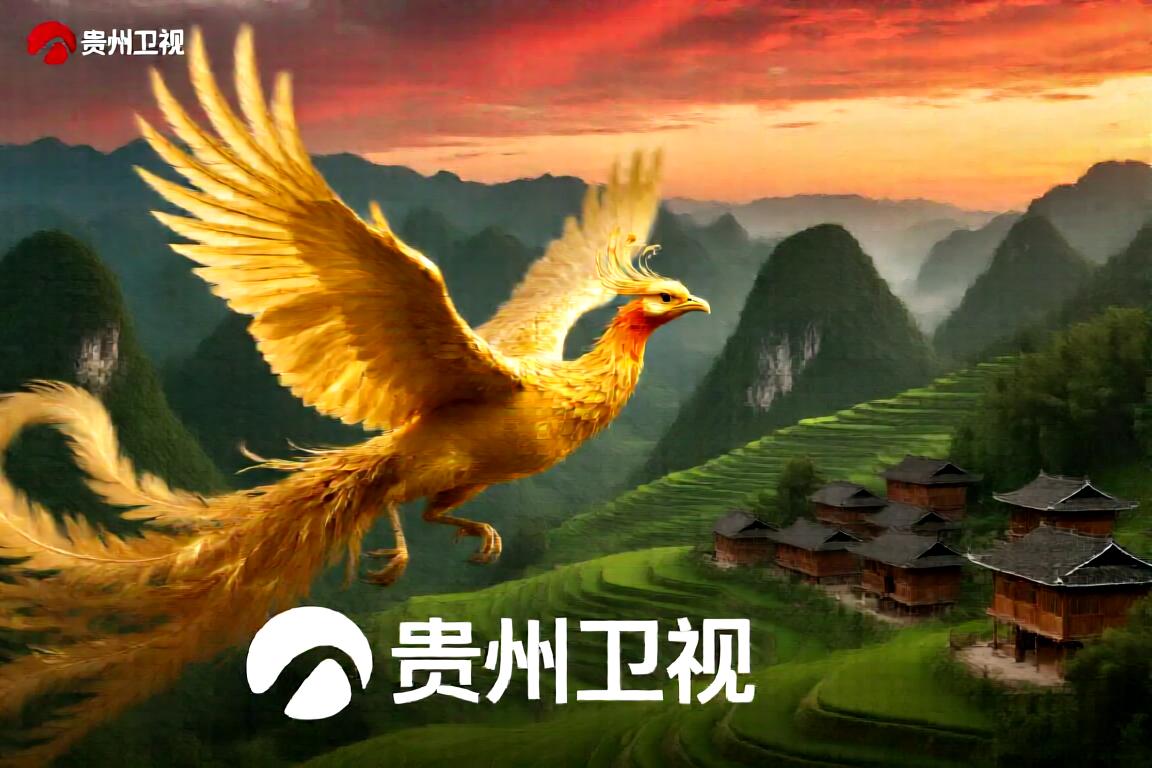 贵州卫视
