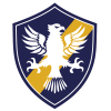 巴西复古青年队