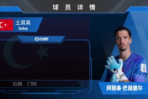 HWG！曼联门将巴延德尔外租至塞尔塔⚽️来看看土耳其国门集锦