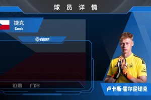 HWG！纽卡2500w镑签捷克国门霍尔尼切克⚽️来看门神风采