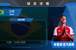 7500万镑转会阿森纳！巴西国脚吉马良斯个人集锦