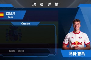 HWG！切尔西20岁前锋吉乌转会莱比锡⚽️来欣赏集锦吧