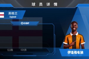 HWG！赫尔城2700万欧签埃弗顿中场伊洛格布纳，来看集锦吧