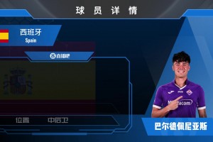 HWG！紫百合800万签皇马小将巴尔德佩尼亚斯来看集锦吧