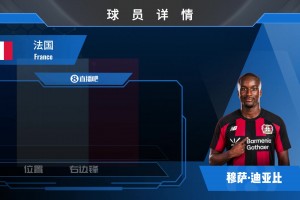 HWG！勒沃库森超2500万欧签下吉达联合边锋迪亚比，来看集锦吧