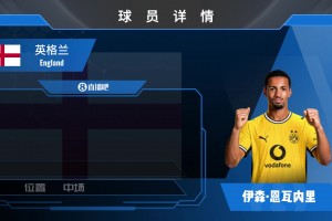 HWG！多特租借阿森纳中场恩瓦内里来看看集锦吧！