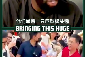 格林回忆中国行遇见狮头鹅：它把我吓尿了