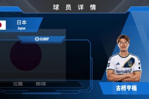 世界杯决赛混战遭调查：欧足联主席抵制，FIFA公信力面临考验