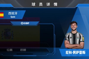 HWG！纽卡5000万镑签曼城中场尼科·冈萨雷斯，来欣赏其个人集锦