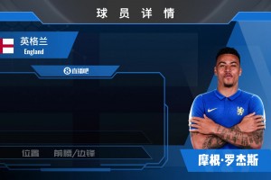 上车HWG！切尔西1.17亿镑签罗杰斯来看看集锦先⚽️