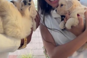 岁月静好！亚马尔和女友以及两只超可爱小狗~
