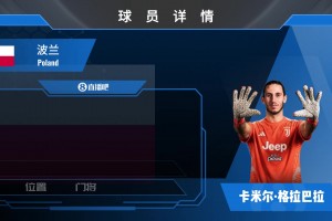 HWG！沃尔夫斯堡门将格拉巴拉租借加盟尤文图斯，来看其个人集锦