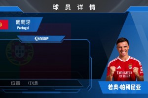 HWG！拜仁中场帕利尼亚加盟本菲卡，看看他的集锦！